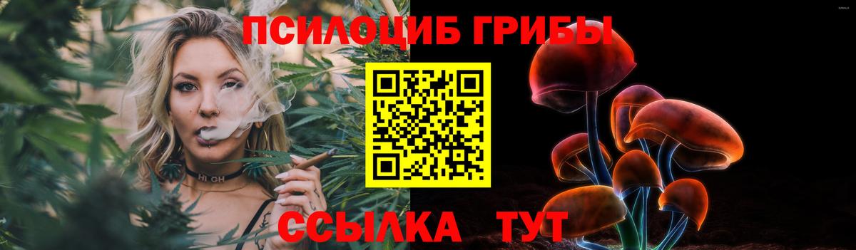 Галлюциногенные грибы прущие грибы Ахтубинск