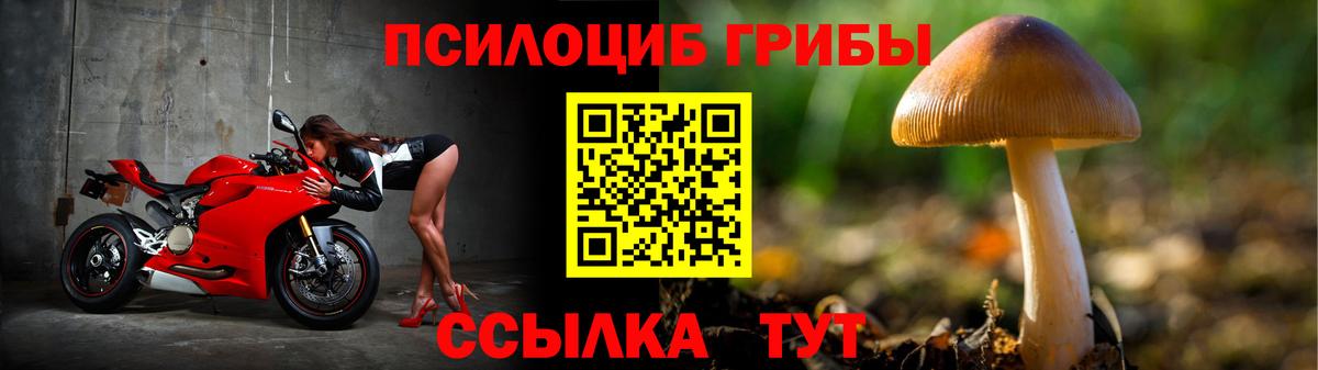Ахтубинск  Псилоцибиновые грибы Psilocybe  Вход с VPN  Галлюциногенные грибы ЛСД 